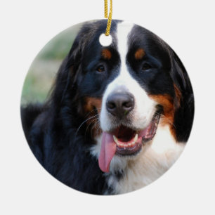Décoration En Céramique Chien de montagne de Bernese avec de grands