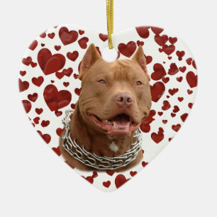 Décoration En Céramique Chien de Pitbull