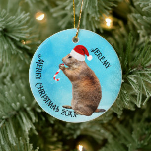 Décoration En Céramique Chien de prairie drôle en chapeau de Père Noël