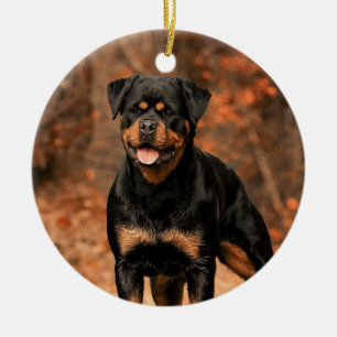 Décoration En Céramique Chien de Rottweiler