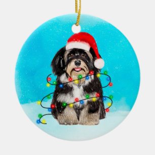 Décoration En Céramique Chien Havanais Assis Dans Les Lumières Casquettes