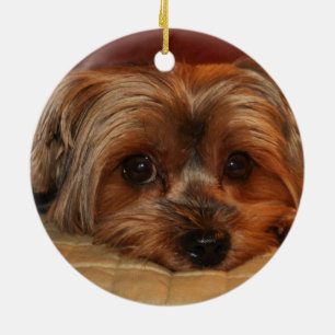 Décoration En Céramique Chien mignon de Yorkshire Terrier