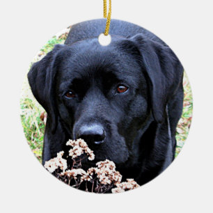 Décoration En Céramique Chien photo pour marionnettes personnalisées Noël