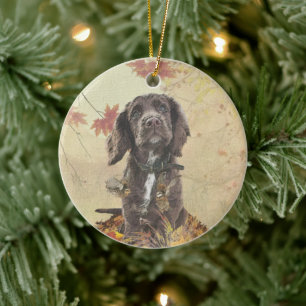 Décoration En Céramique Chien spaniel spaniel cocker au chocolat