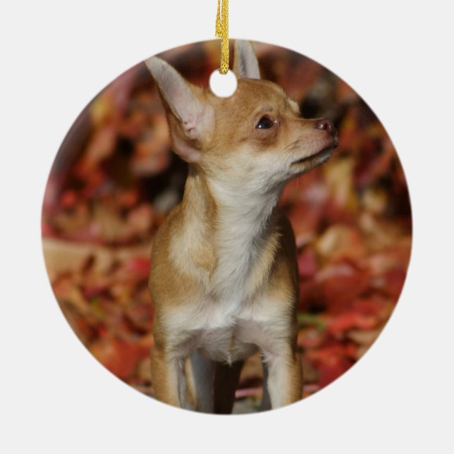Décoration En Céramique Chihuahua Chiuppy Brown (Dos)