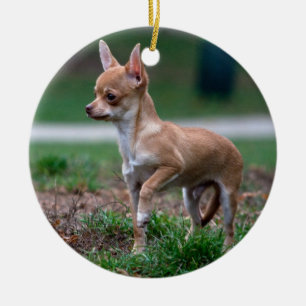 Décoration En Céramique Chihuahua Puppy