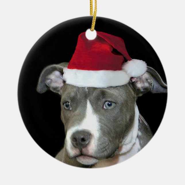 Décoration En Céramique Chiot bleu de pitbull de Noël (Devant)