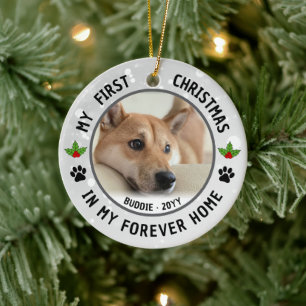 Décoration En Céramique Chiot Chien Chat Animal Photo Premier Noël Souveni