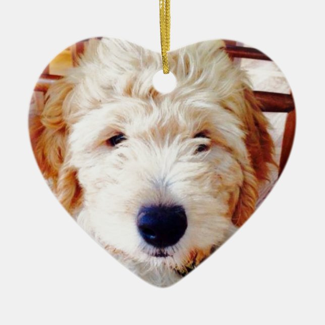Décoration En Céramique Chiot de Goldendoodle (Devant)
