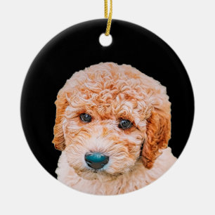 Décoration En Céramique Chiot de Labradoodle