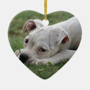 Décoration En Céramique Chiot doux de boxeur