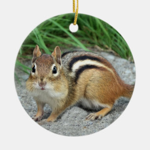 Décoration En Céramique Chipmunk