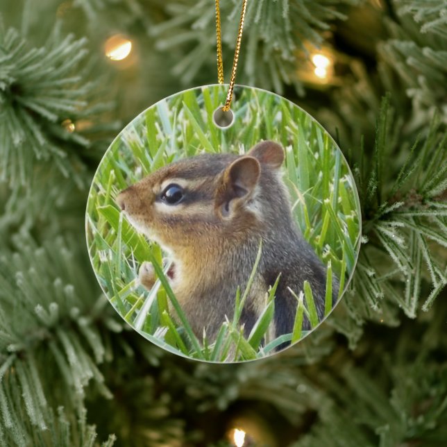 Décoration En Céramique Chipmunk (Arbre)