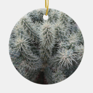 Décoration En Céramique Cholla Cactus en Arizona