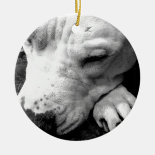 Décoration En Céramique cicatrice de harry potter chien pit bull blanc