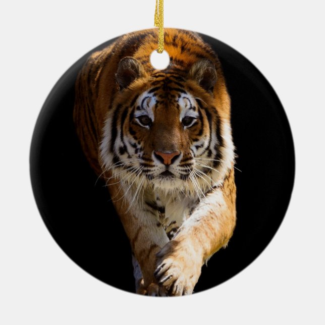Décoration En Céramique Cincinnati Tiger - (Dos)