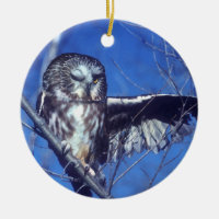 Cligner de l'oeil le hibou