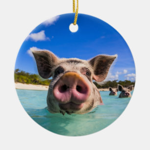 Décoration En Céramique Cochon de natation mignon Exuma Bahamas