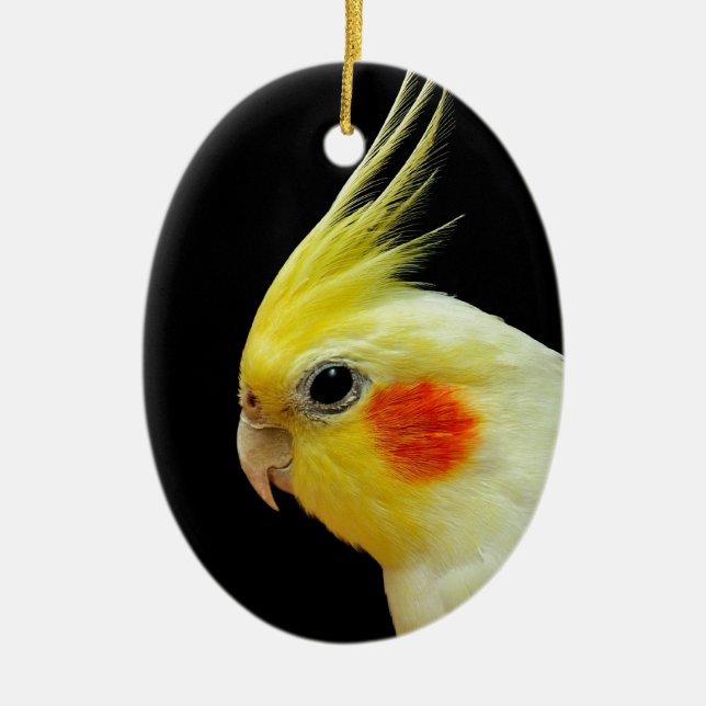 Décoration En Céramique Cockatiel de Lutino (Devant)