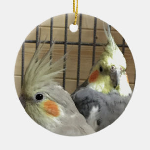 Décoration En Céramique Cockatiels