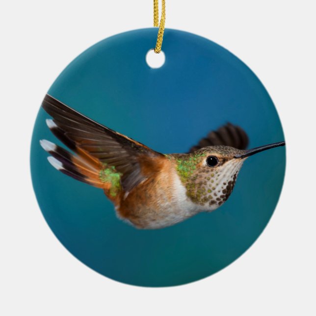 Décoration En Céramique Colibri Rufous (Devant)