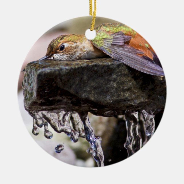 Décoration En Céramique Colibri s'étendant dans l'eau (Devant)