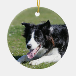 Décoration En Céramique Collie Bordure Déposée
