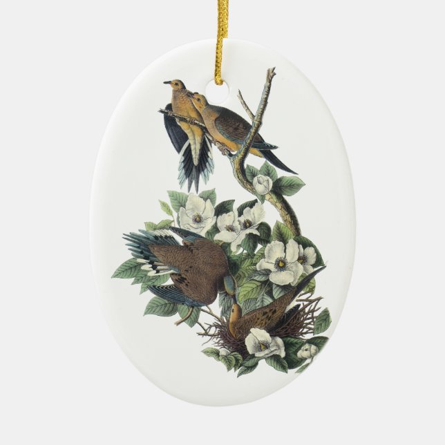 Décoration En Céramique Colombe de deuil, John Audubon (Devant)