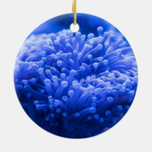 Décoration En Céramique Coloré Mer Bleue Anémonique Marine Vie