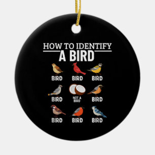 Décoration En Céramique Comment identifier un oiseau Drôle d'observation d