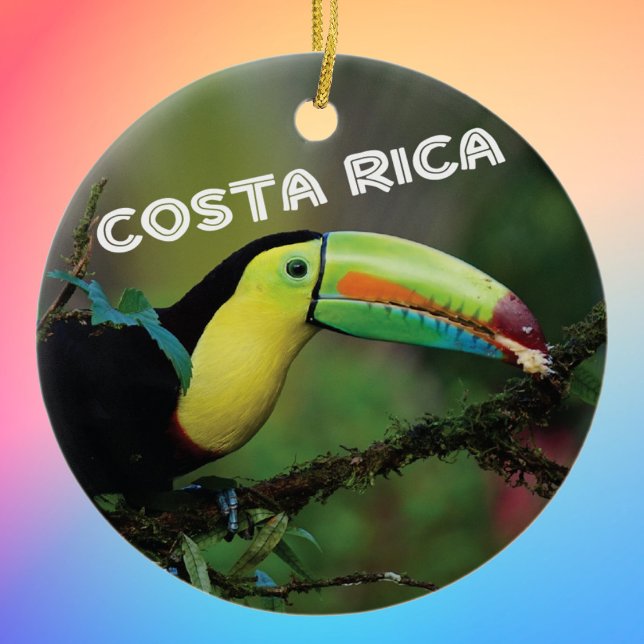 Décoration En Céramique Costa Rica Toucan (Créateur téléchargé)