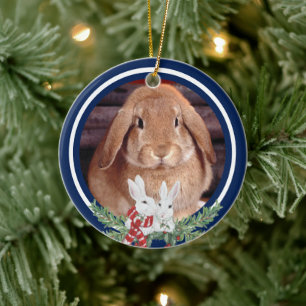 Décoration En Céramique Coutume Noël Animal Bunny Lapin Lapin Photo Anné