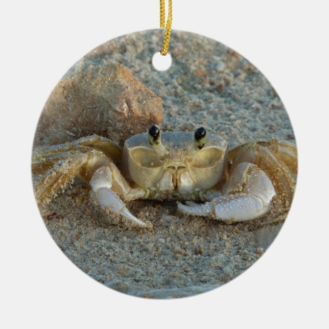 Décoration En Céramique Crabe de sable (Devant)