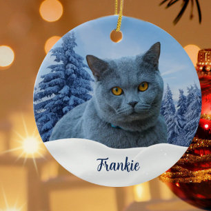 Décoration En Céramique Créez votre propre photo pour animaux de compagnie