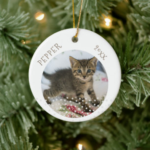 Décoration En Céramique Cute Cat 2 Photos Star Motif Noël