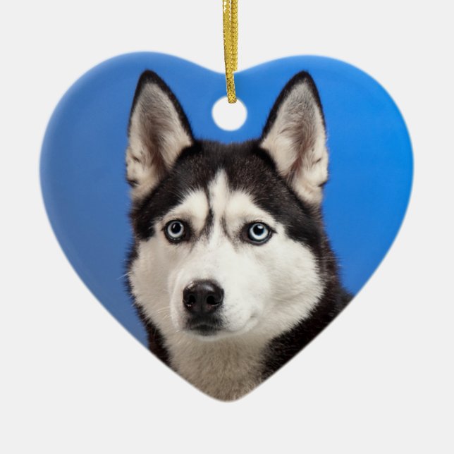 Décoration En Céramique Cute Chien chiot sibérien Husky (Devant)