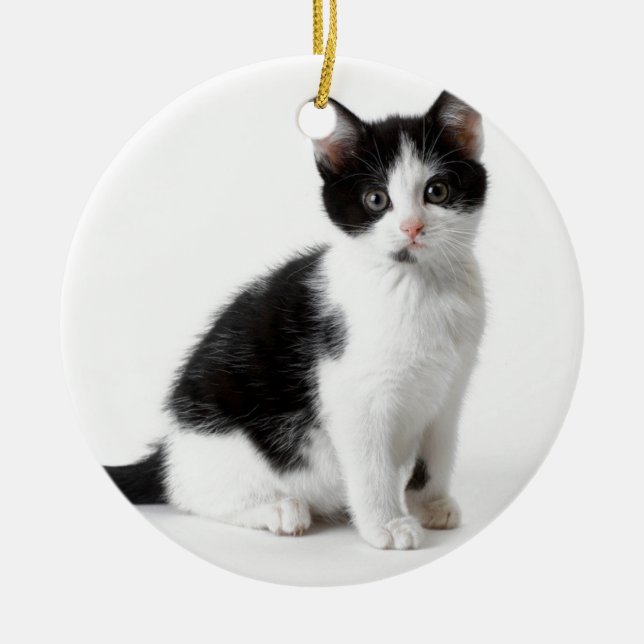 Décoration En Céramique Cute Funny chaton en furie noir et blanc (Devant)