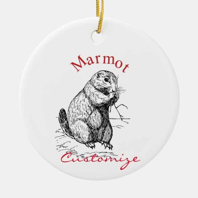 Décoration En Céramique Cute Marmot Animal Thunder_Cove (Devant)