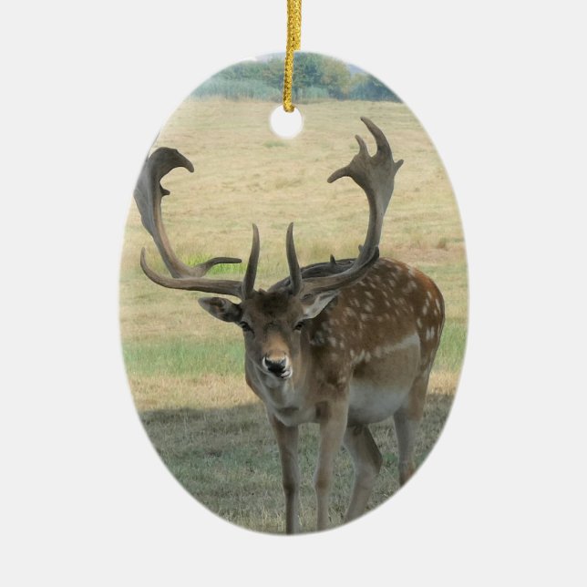 Décoration En Céramique Cute Reindeer (Devant)