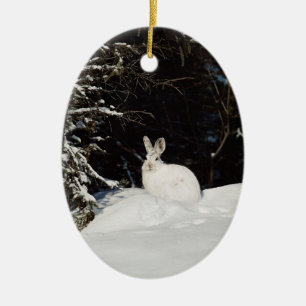 Décoration En Céramique Decorations de White Bunny Rabbit Wildlife Holiday