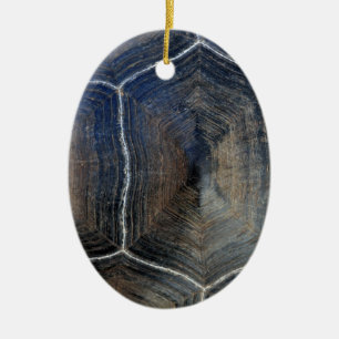 Décoration En Céramique Détail de la coquille de tortue géante Galapagos