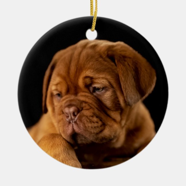 Décoration En Céramique Dogue de Bordeaux - Mastiff (Devant)