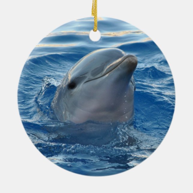 Décoration En Céramique Dolphin (Dos)