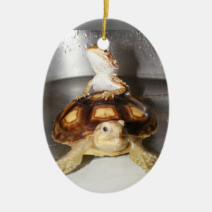 Décoration En Céramique Dragon et tortue barbus de Sulcata