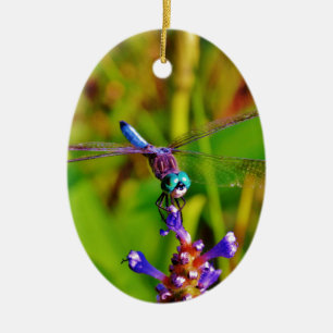 Décoration En Céramique Dragonfly