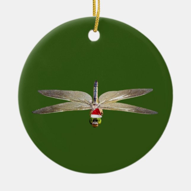 Décoration En Céramique Dragonfly avec lumières Casquettes Noël (Devant)