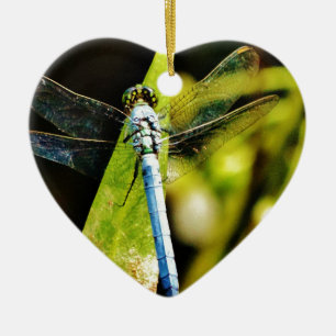 Décoration En Céramique Dragonfly bleu clair