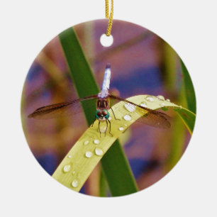 Décoration En Céramique Dragonfly sur la feuille de pluie