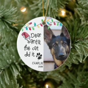Décoration En Céramique Drôle Chien Dit Photo