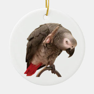 Décoration En Céramique Einstein African Grey Parrot Waving